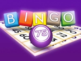 bingo-75 online